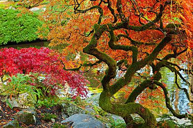 《师父》叶问mod演示 看叶师父拳打脚踢20人