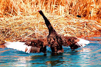 《The Finals》外挂太多玩家要求锁中国区 官方回应不予支持